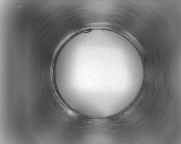 X0000073841196200608311926