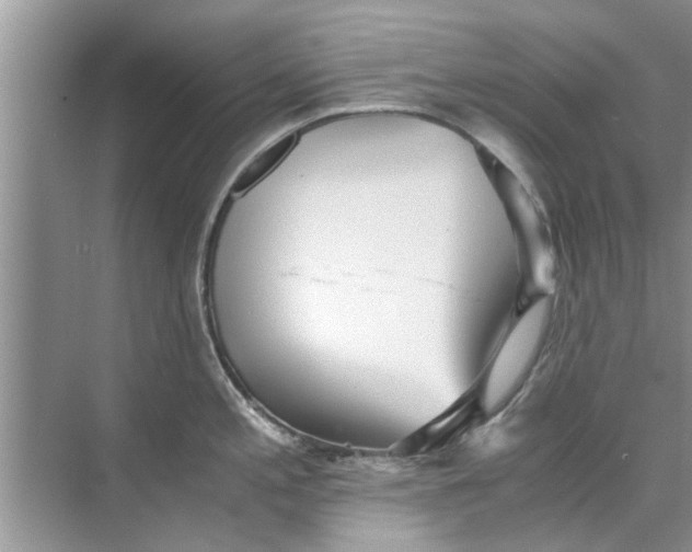 X0000073841197200608311926