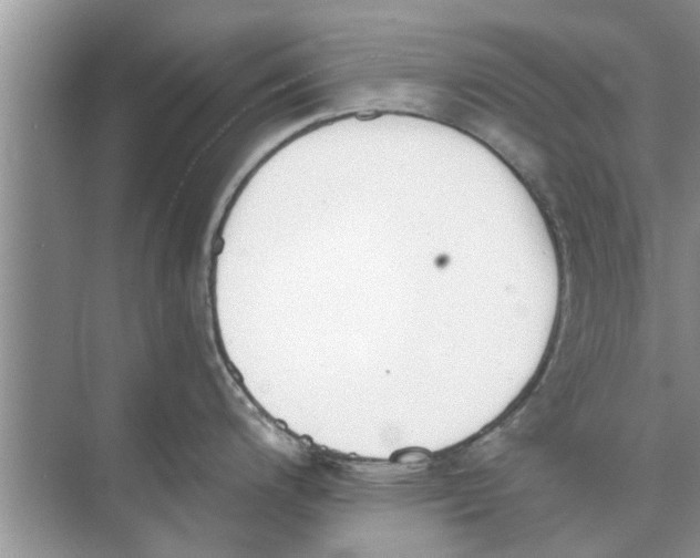 X0000073841200200608311926