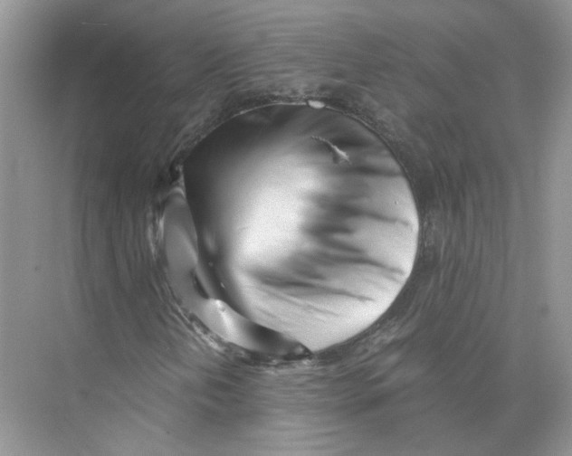 X0000073841202200608311926