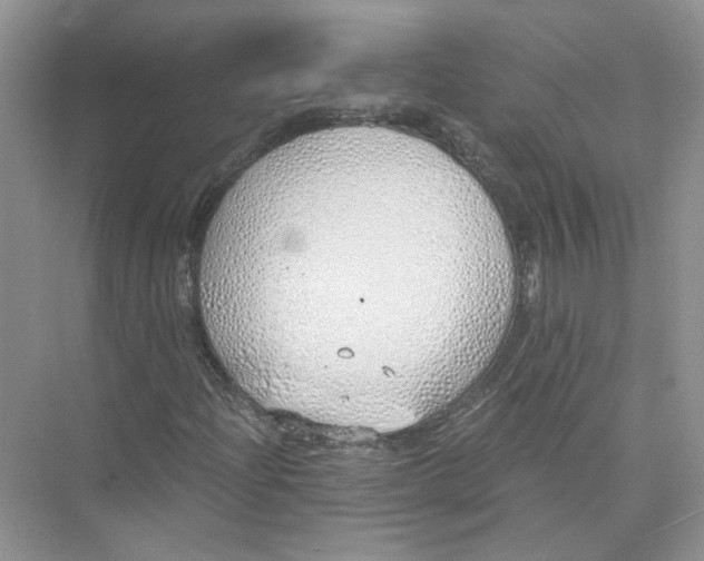 X0000073841204200608311926