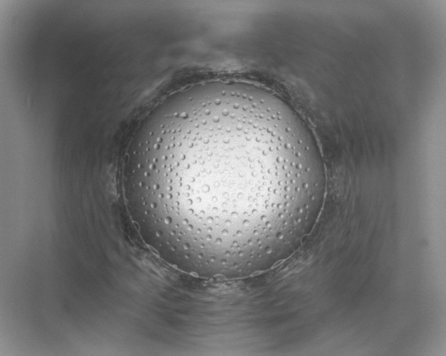 X0000073841205200608311926