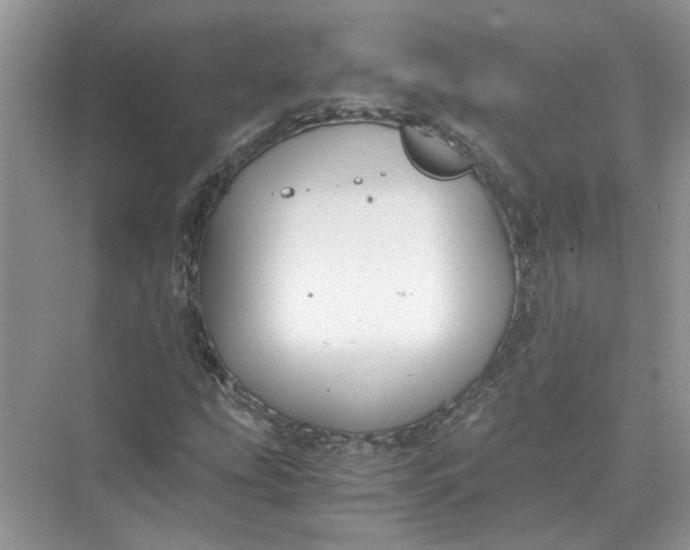 X0000073841207200608311926