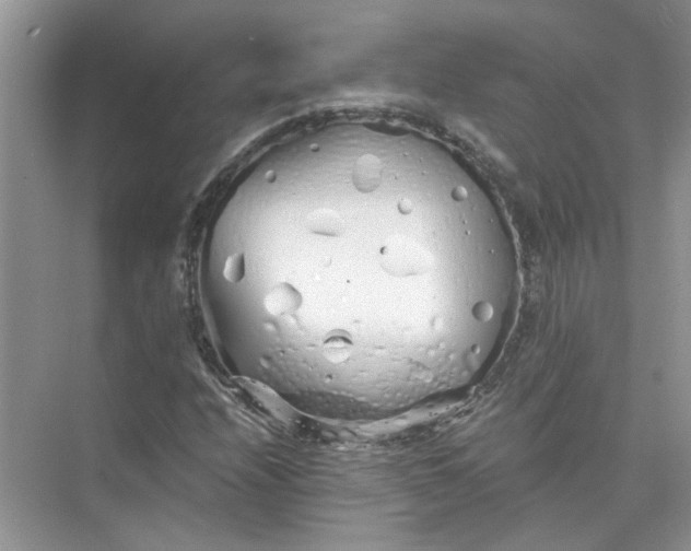 X0000073841208200608311926