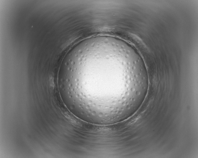 X0000073841209200608311926