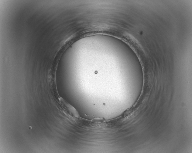 X0000073841210200608311926