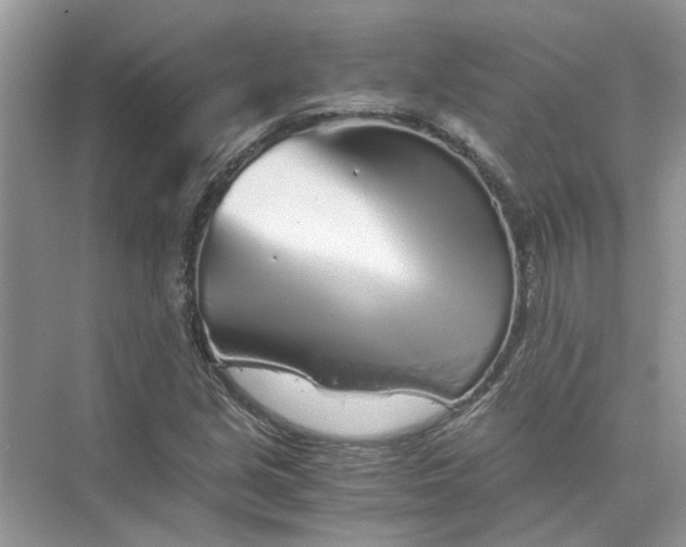 X0000073841213200608311926