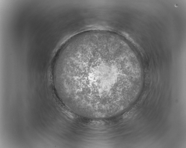 X0000073841215200608311926