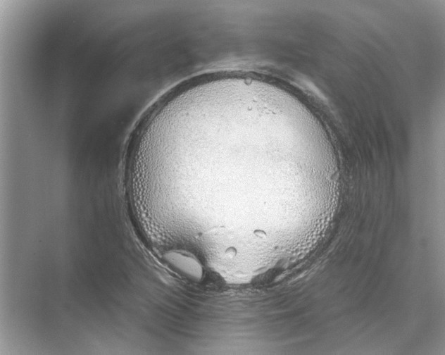 X0000073841216200608311926