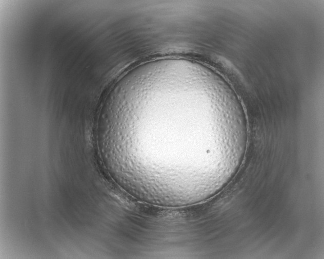 X0000073841217200608311926