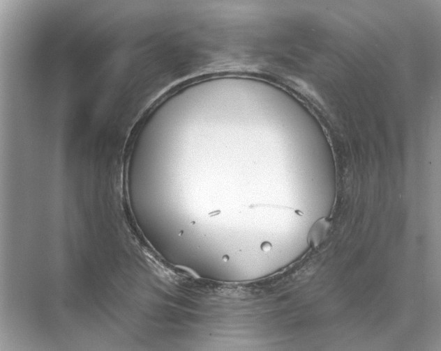 X0000073841220200608311926