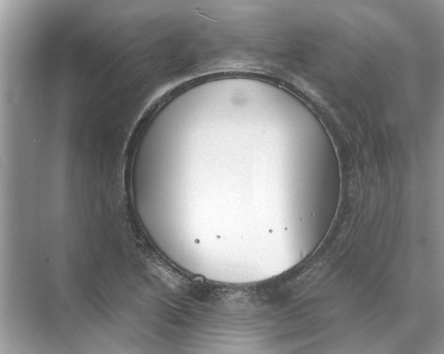 X0000073841222200608311926