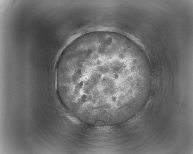 X0000073841223200608311926