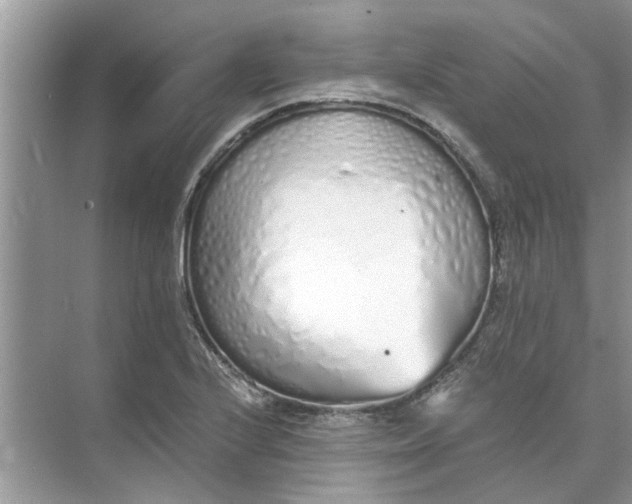 X0000073841224200608311926