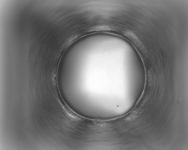 X0000073841225200608311926