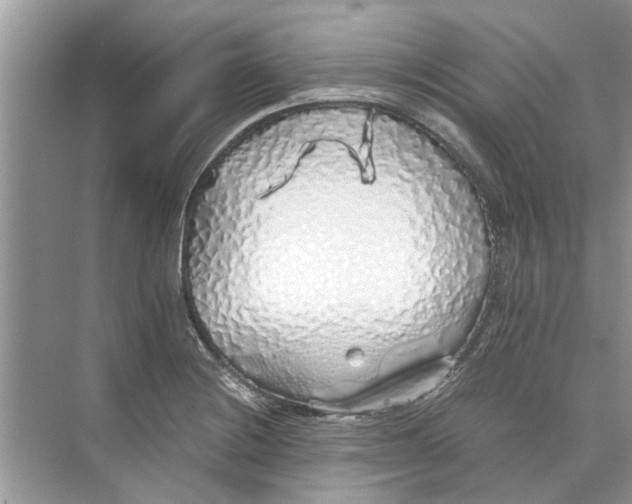 X0000073841228200608311926