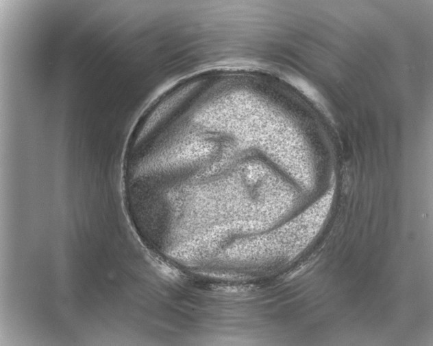 X0000073841229200608311926