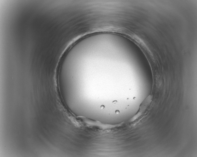 X0000073841230200608311926