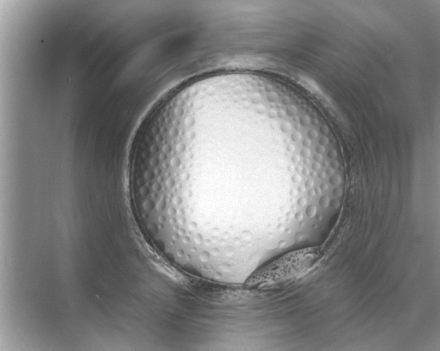 X0000073841232200608311926