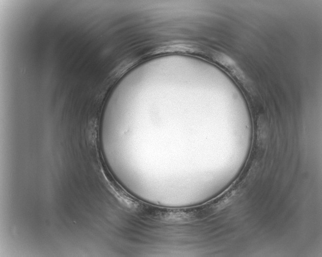 X0000073841233200608311926