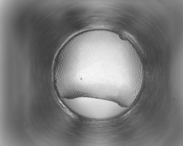 X0000073841236200608311926