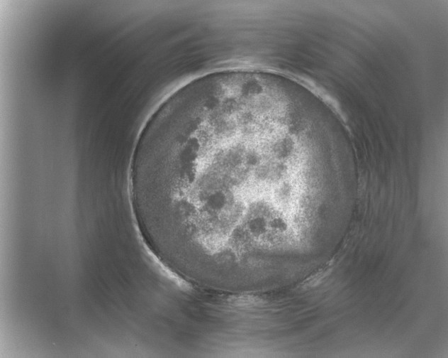 X0000073841239200608311926