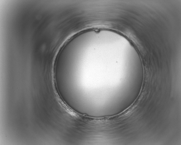 X0000073841240200608311926