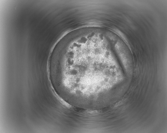 X0000073841243200608311926