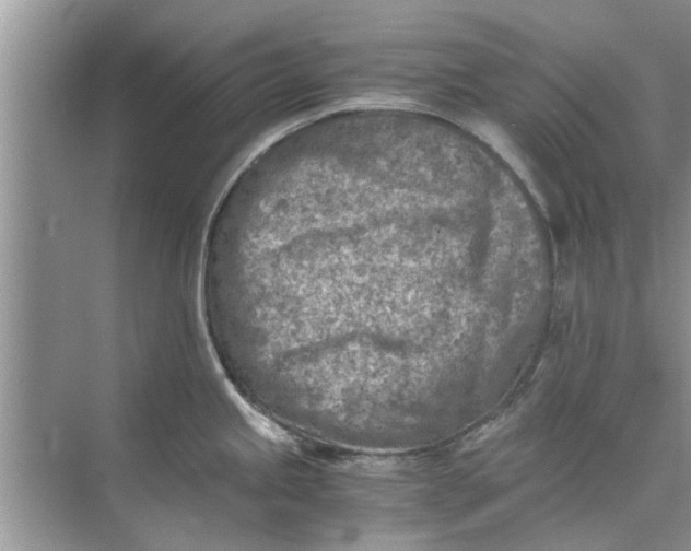 X0000073841245200608311926