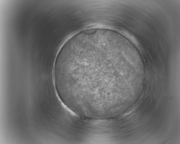 X0000073841247200608311926