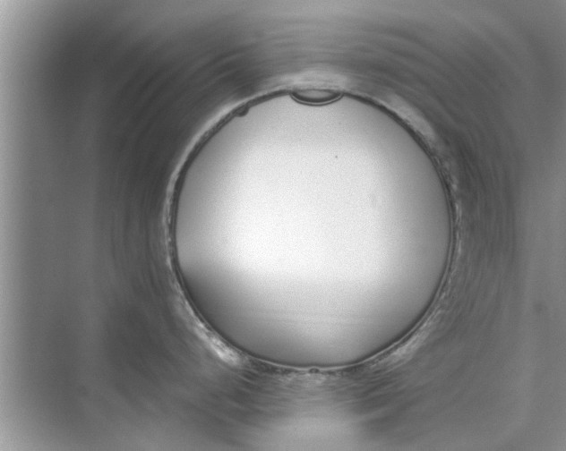 X0000073841248200608311926