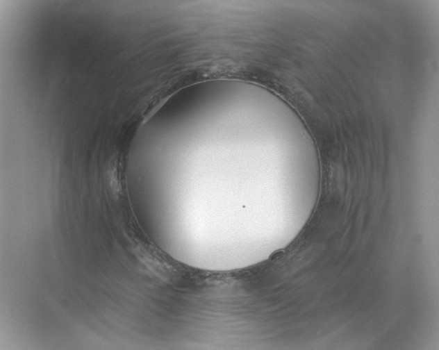 X0000073841250200608311925