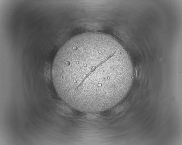 X0000073841251200608311925