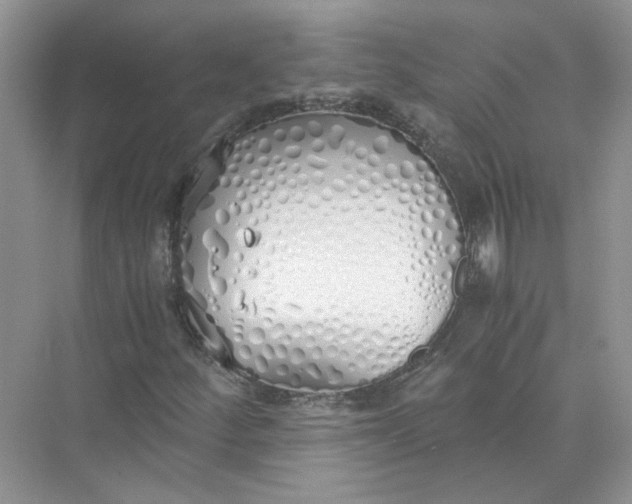 X0000073841252200608311925