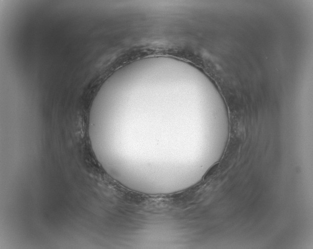 X0000073841253200608311925