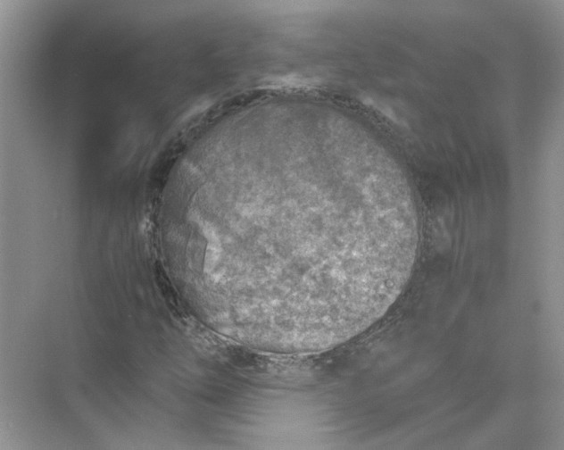 X0000073841254200608311925