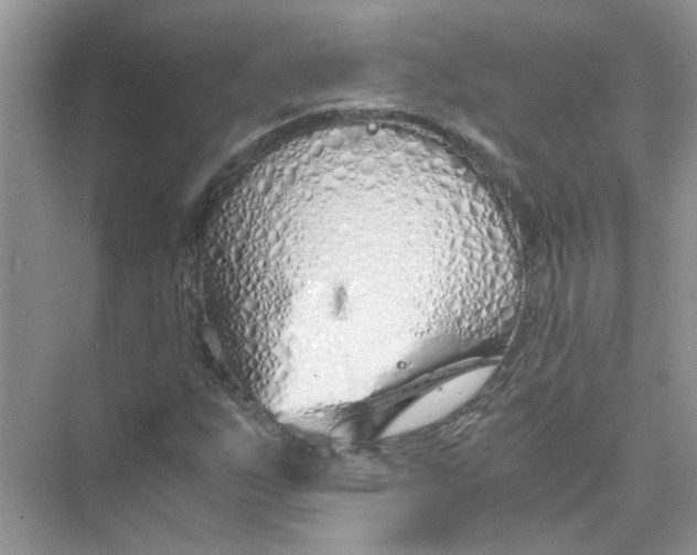 X0000073841255200608311925