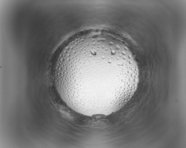 X0000073841256200608311925