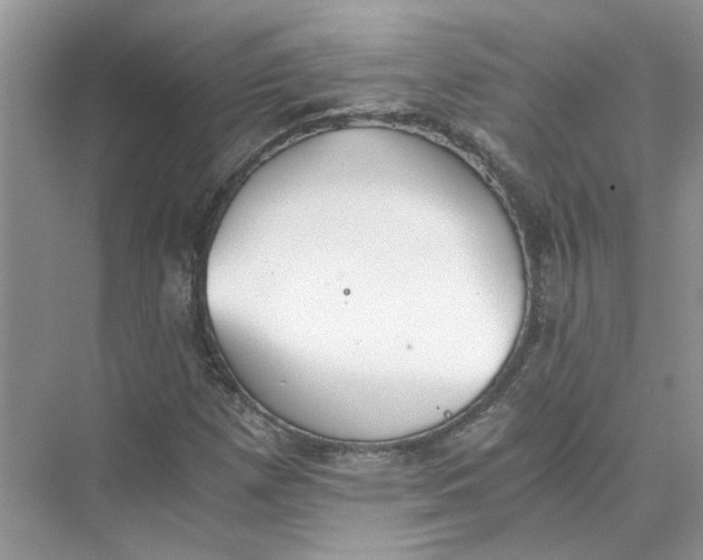 X0000073841257200608311925