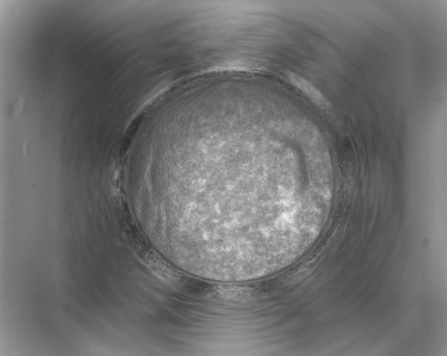 X0000073841258200608311925