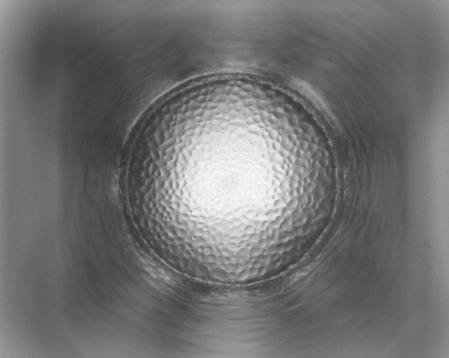 X0000073841260200608311925