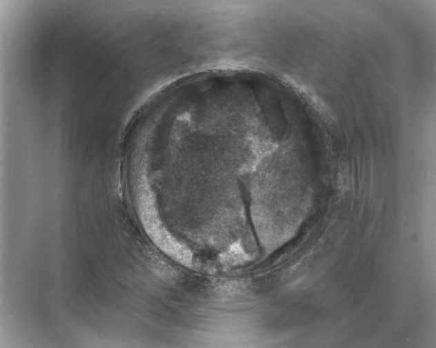 X0000073841262200608311925