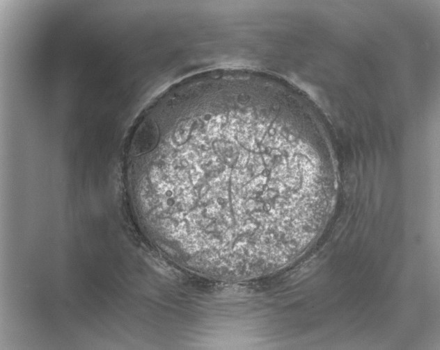 X0000073841263200608311925