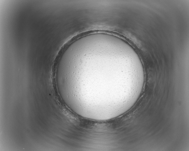 X0000073841264200608311925