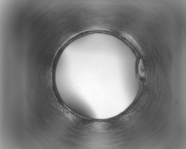 X0000073841268200608311925