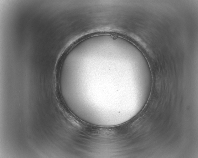 X0000073841270200608311925