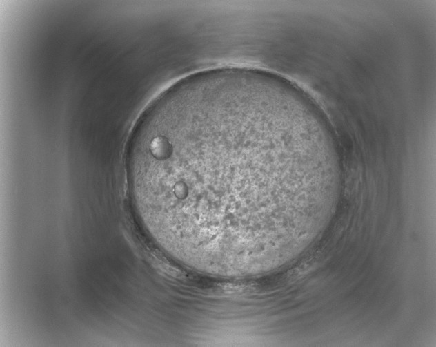 X0000073841271200608311925