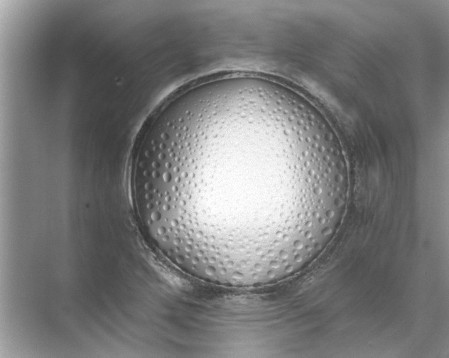 X0000073841272200608311925