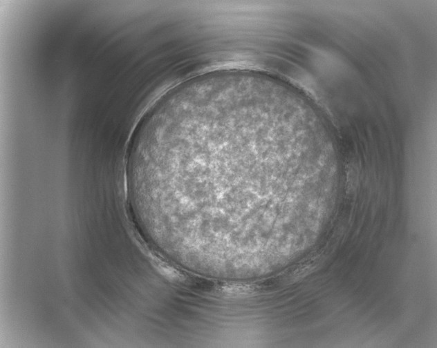 X0000073841274200608311925