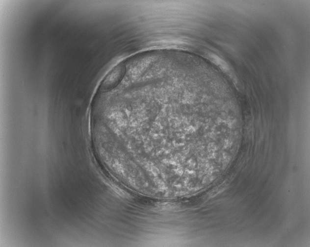 X0000073841275200608311925